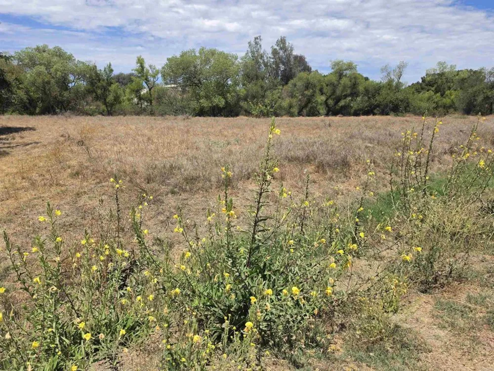 1 Durgin Street Ramona, CA 92065
