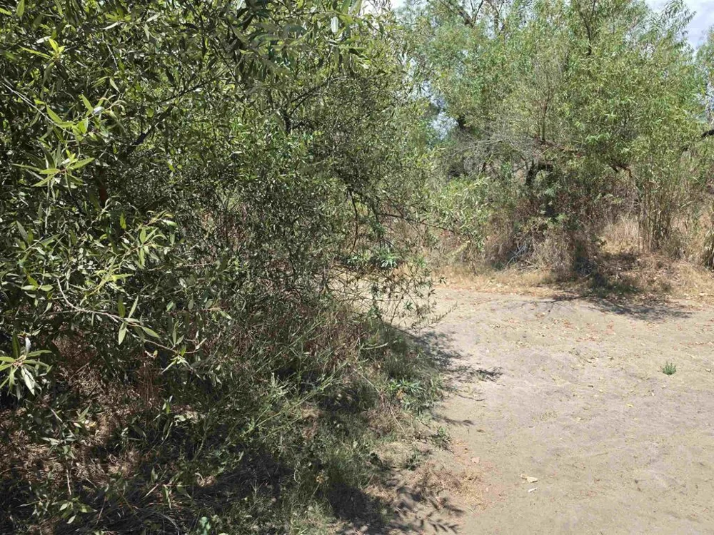 1 Durgin Street Ramona, CA 92065