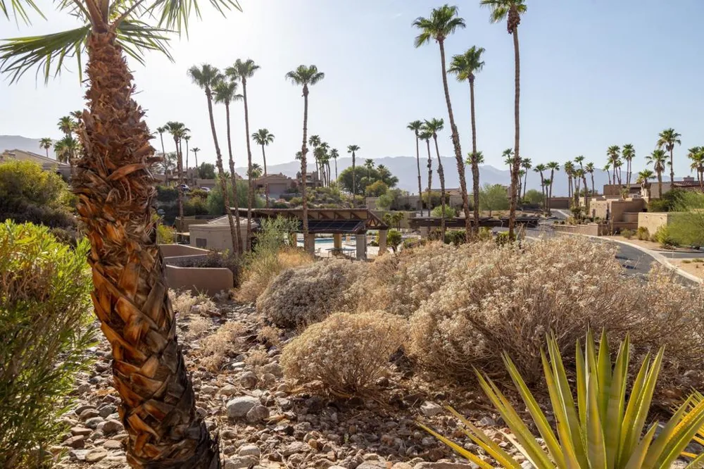 1969 Desert Vista Borrego Springs, CA 92004