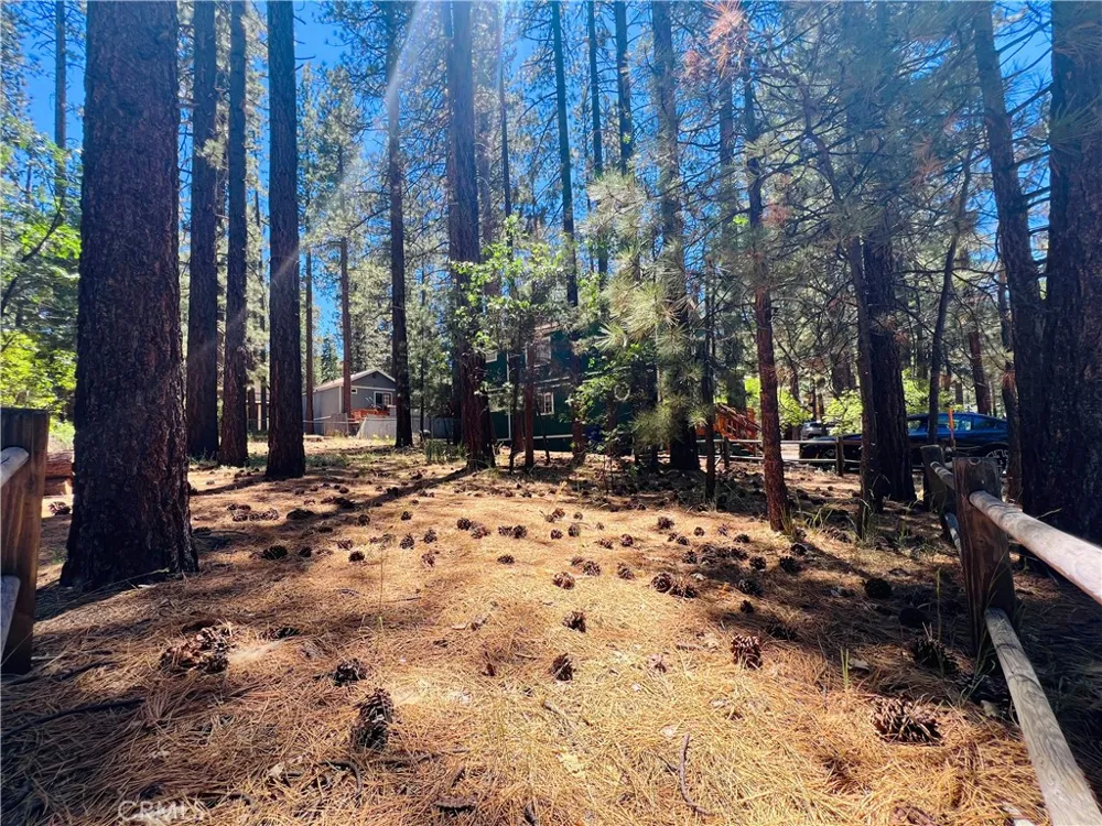 42557 La Cerena Big Bear Lake, CA 92315
