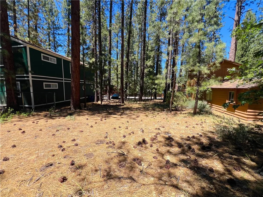 42557 La Cerena Big Bear Lake, CA 92315