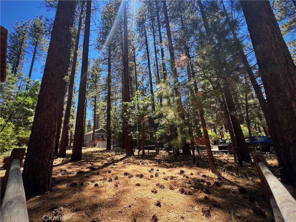 42557 La Cerena Big Bear Lake, CA 92315