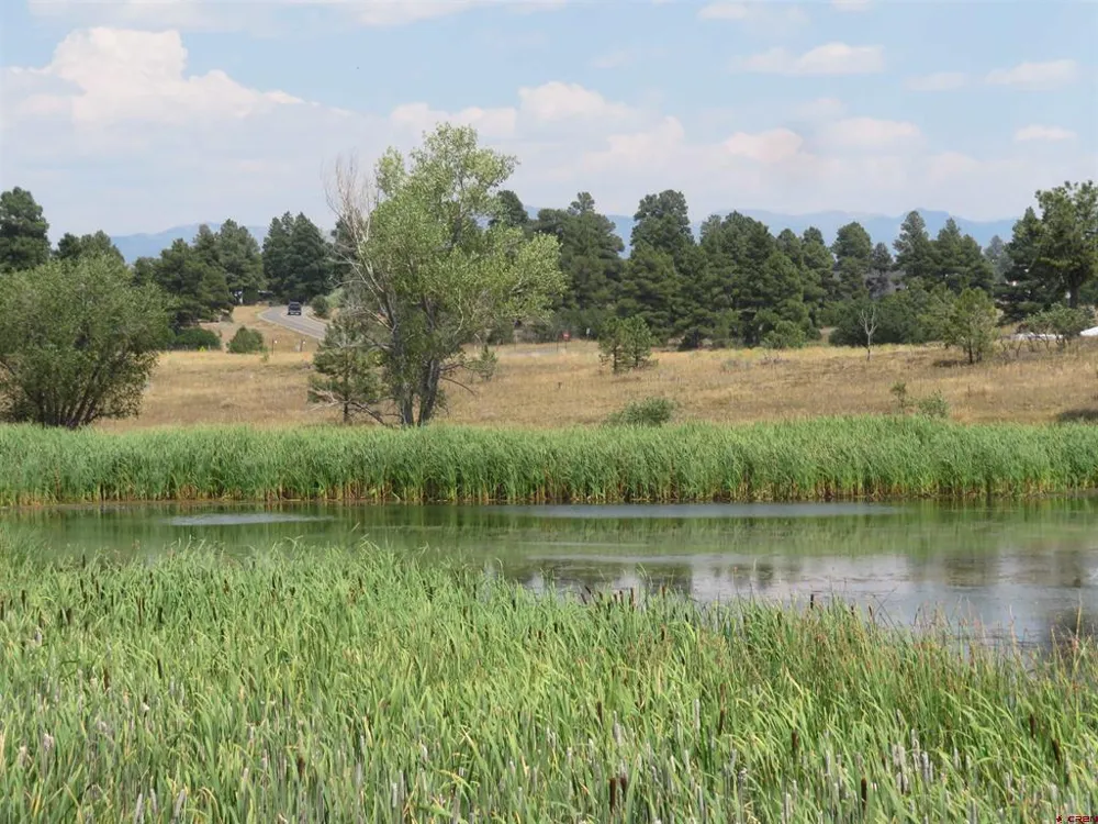 176 Port Ave Pagosa Springs, CO 81147