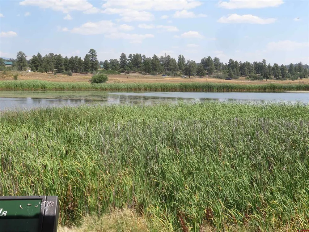 176 Port Ave Pagosa Springs, CO 81147