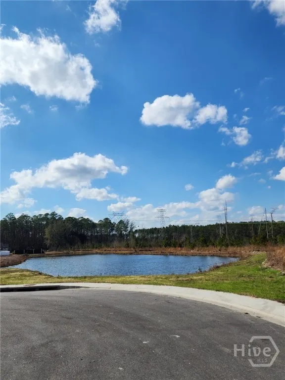 126 Watson Drive Rincon, GA 31326