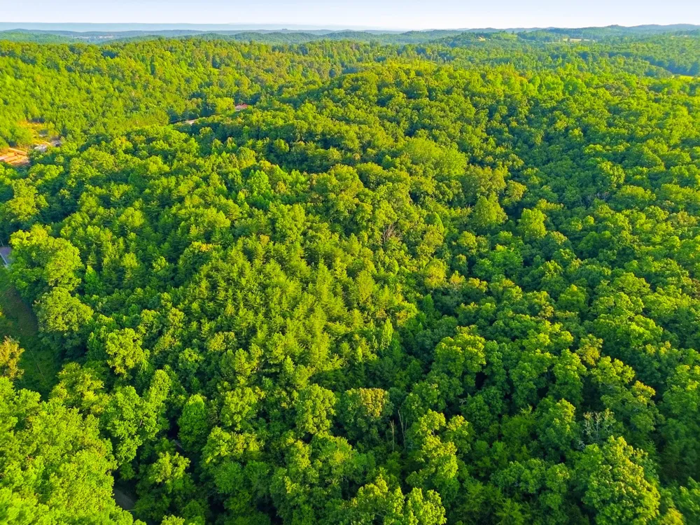 208 County Road 44 Athens, TN 37303