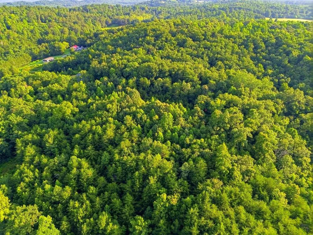 208 County Road 44 Athens, TN 37303