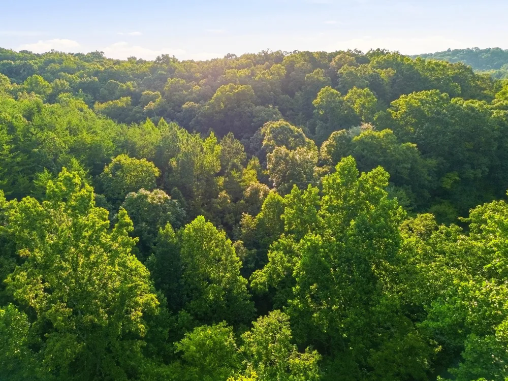 208 County Road 44 Athens, TN 37303