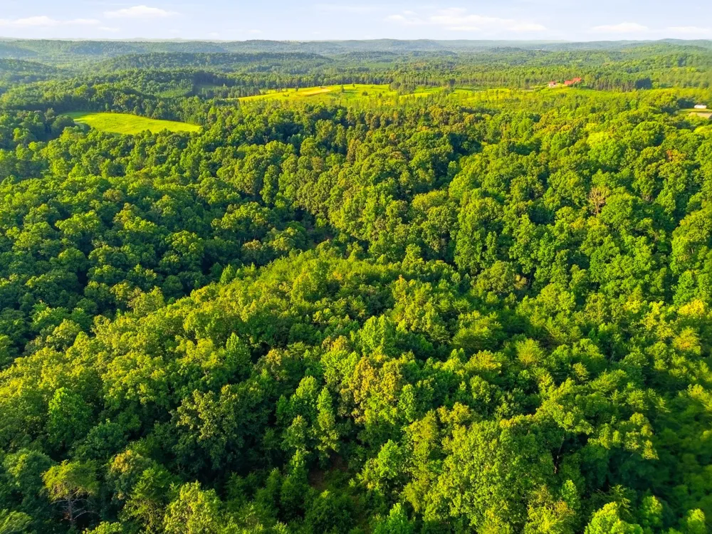208 County Road 44 Athens, TN 37303