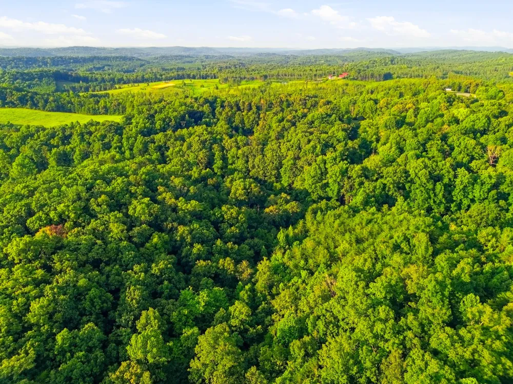 208 County Road 44 Athens, TN 37303