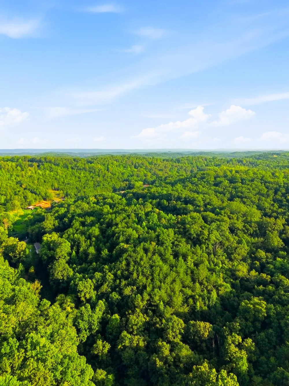 208 County Road 44 Athens, TN 37303