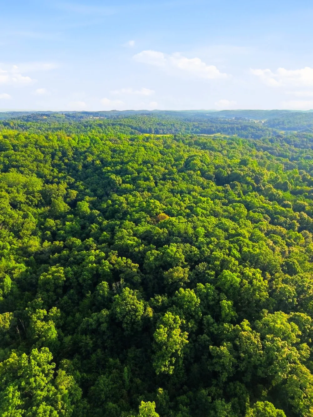 208 County Road 44 Athens, TN 37303