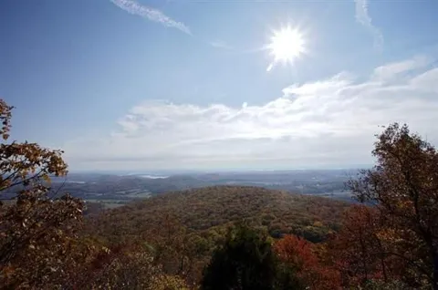 1180 Black Bear Trail