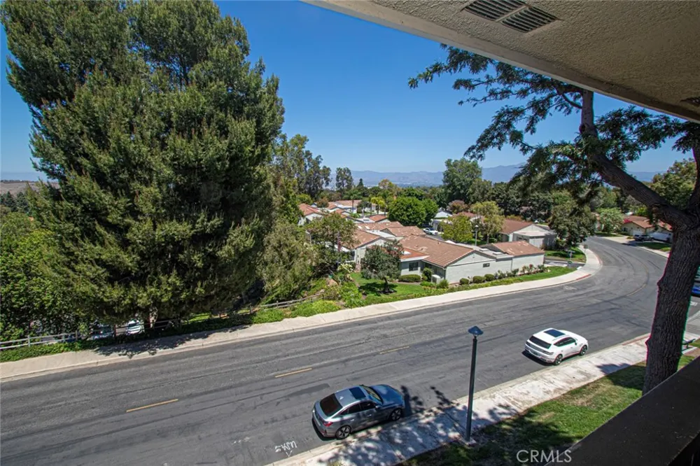 3241 San Amadeo #3C Laguna Woods, CA 92637