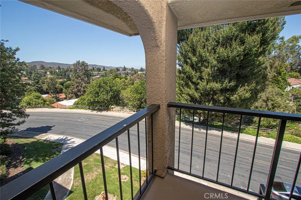 3241 San Amadeo #3C Laguna Woods, CA 92637