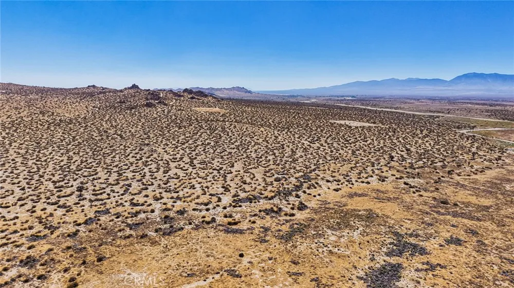 12022 E Avenue Palmdale, CA 93591