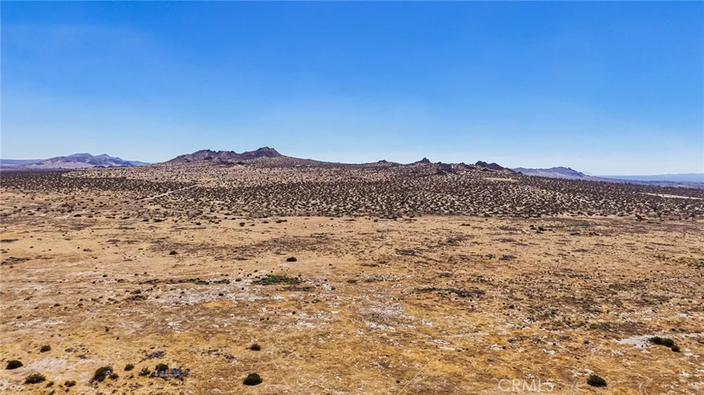 12022 E Avenue Palmdale, CA 93591