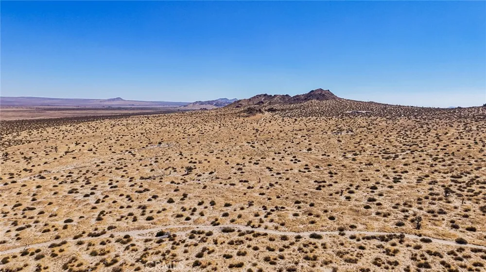 12022 E Avenue Palmdale, CA 93591