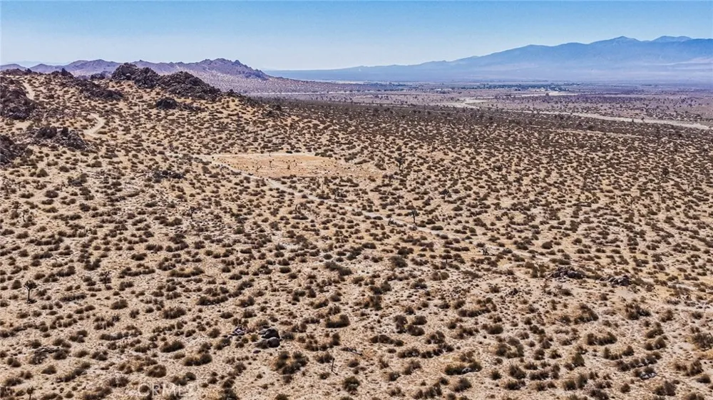 12022 E Avenue Palmdale, CA 93591