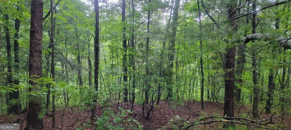 0 Bonanza LN Tiger, GA 30576