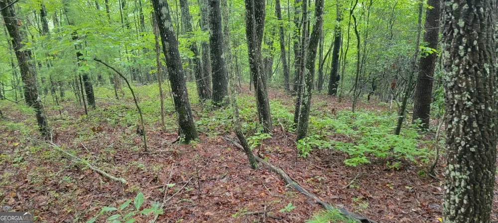 0 Bonanza LN Tiger, GA 30576