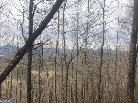 0 Bonanza LN Tiger, GA 30576