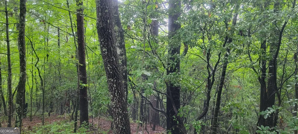0 Bonanza LN Tiger, GA 30576