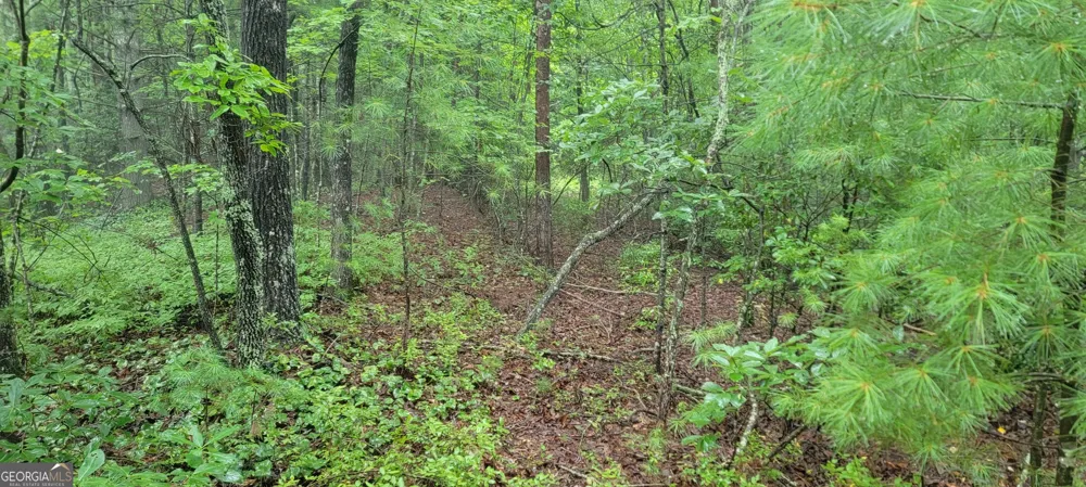 0 Bonanza LN Tiger, GA 30576