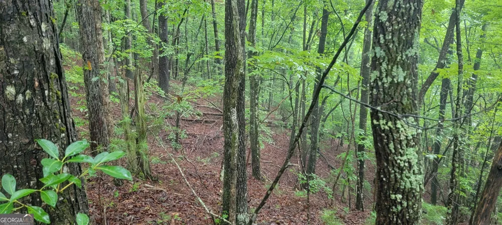 0 Bonanza LN Tiger, GA 30576