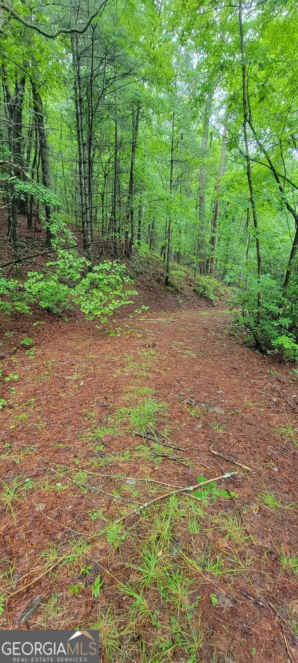 0 Bonanza LN Tiger, GA 30576