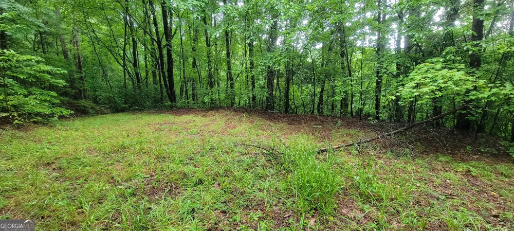 0 Bonanza LN Tiger, GA 30576