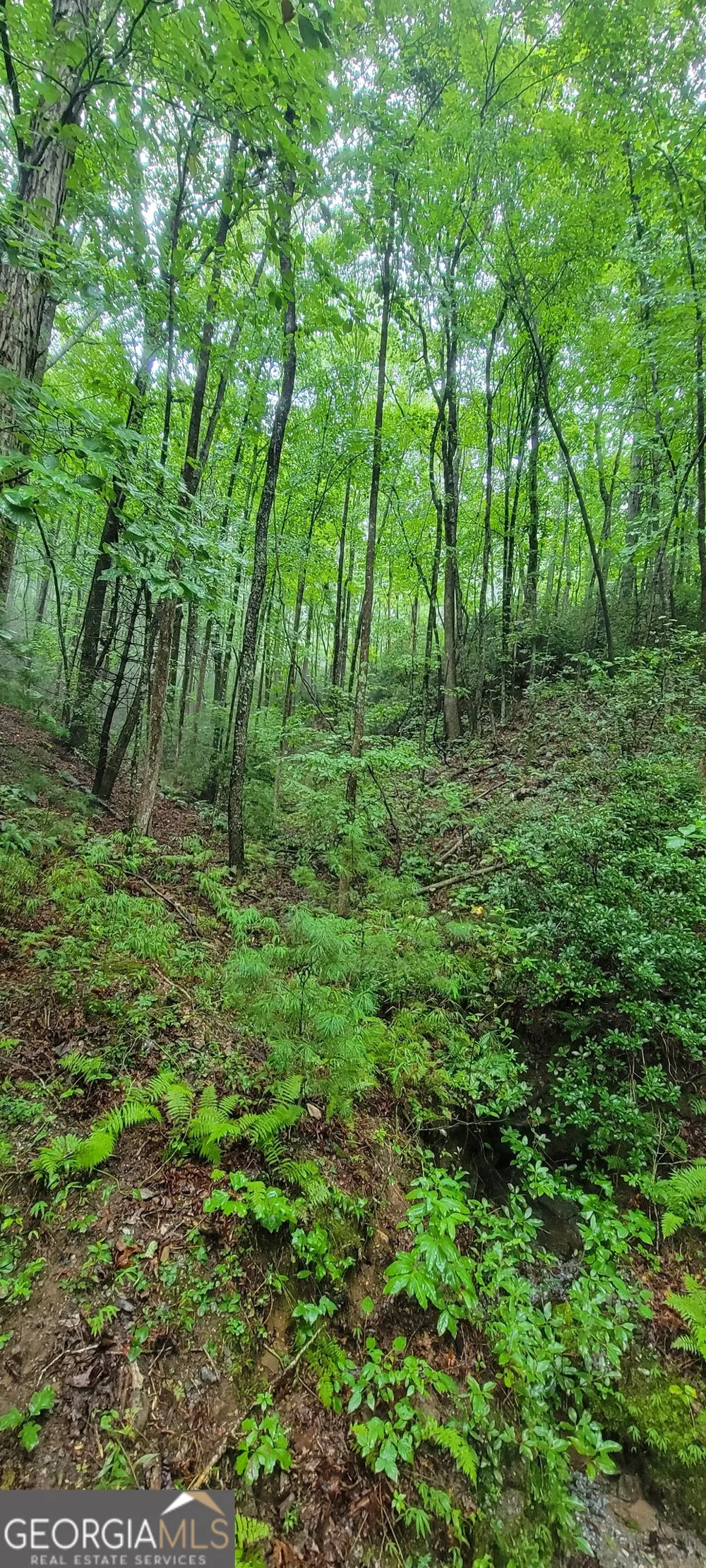 0 Bonanza LN Tiger, GA 30576