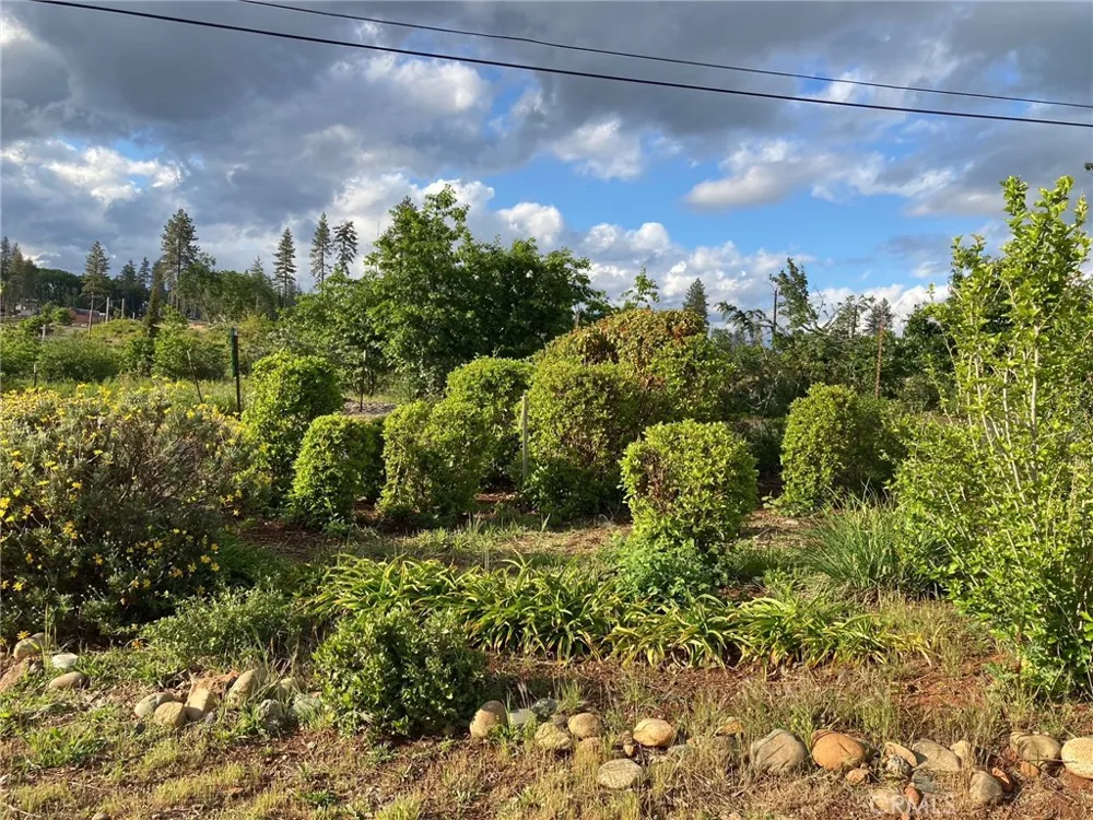 1610 Louie Lane Paradise, CA 95969
