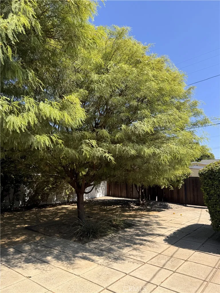 20146 Hartland Winnetka, CA 91306