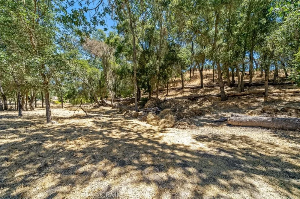 1457 Brambles Court Templeton, CA 93465