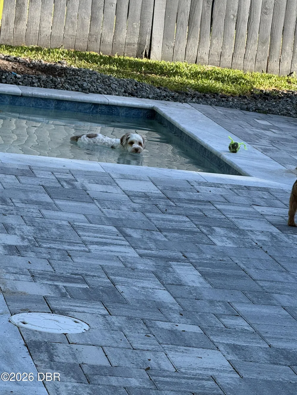 116 Knollwood Circle Ormond Beach, FL 32174