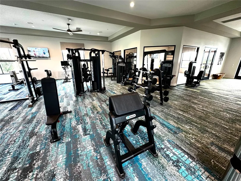 6107 WELLBEING WAY Clermont, FL 34714