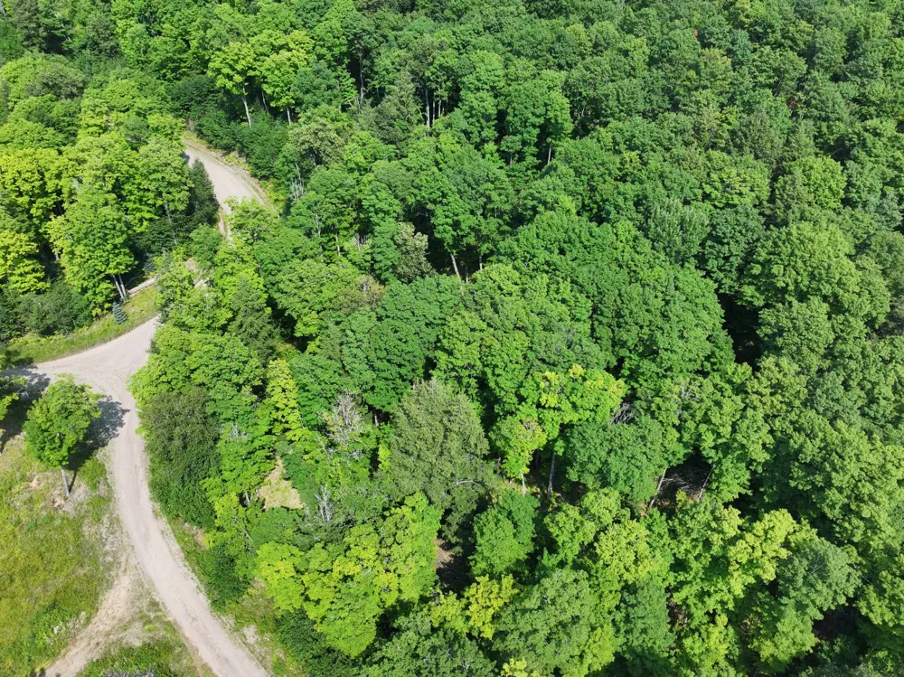 Lot 20 Little Smoky Lk Est Iron River, MI 49935