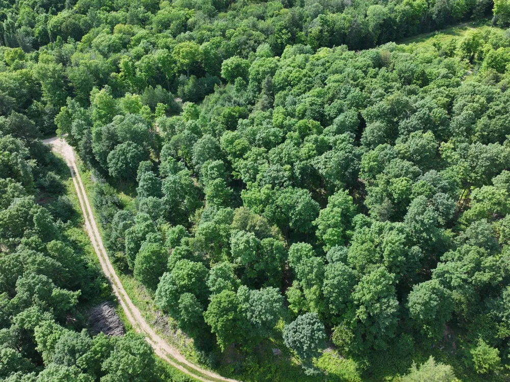 Lot 20 Little Smoky Lk Est Iron River, MI 49935