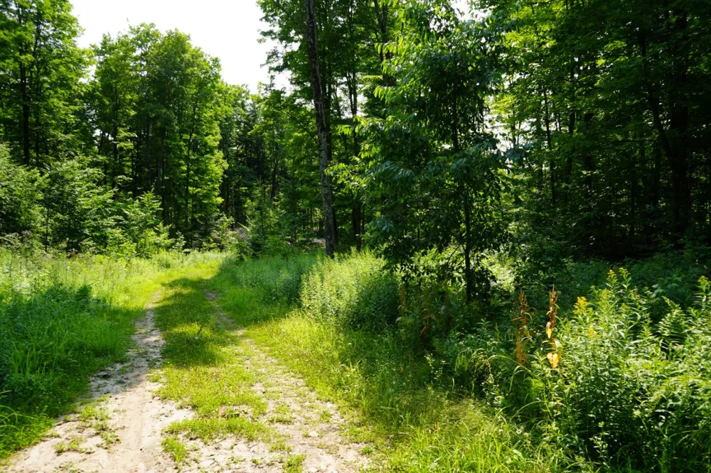 Lot 20 Little Smoky Lk Est Iron River, MI 49935