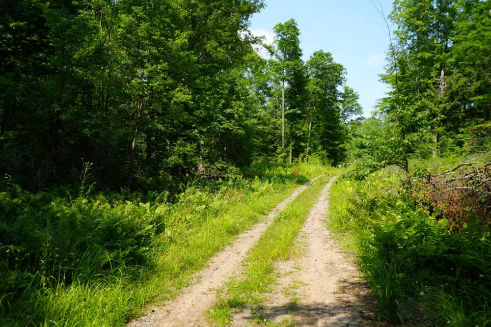 Lot 20 Little Smoky Lk Est Iron River, MI 49935