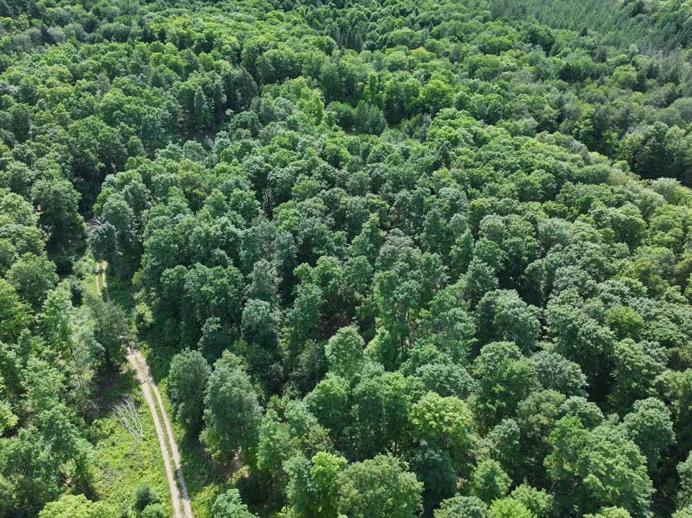 Lot 20 Little Smoky Lk Est Iron River, MI 49935