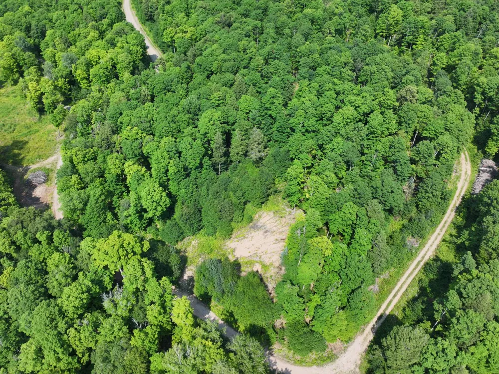 Lot 20 Little Smoky Lk Est Iron River, MI 49935