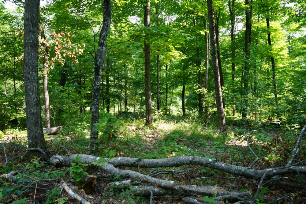 Lot 20 Little Smoky Lk Est Iron River, MI 49935