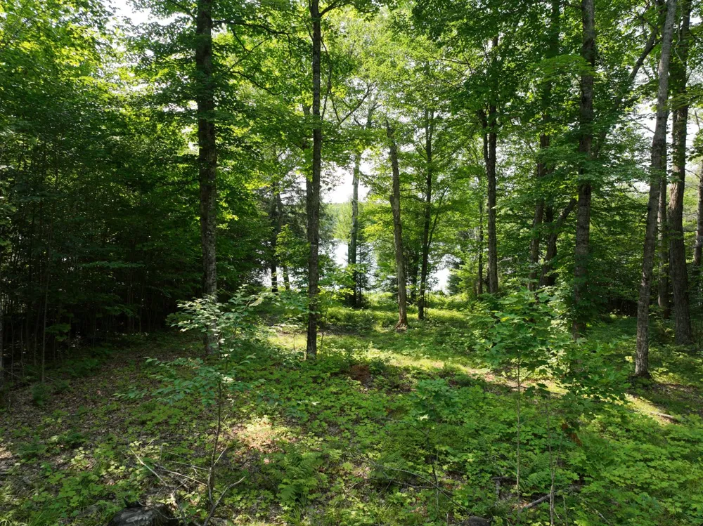 Lot 12 Little Smoky Lk Est Iron River, MI 49935
