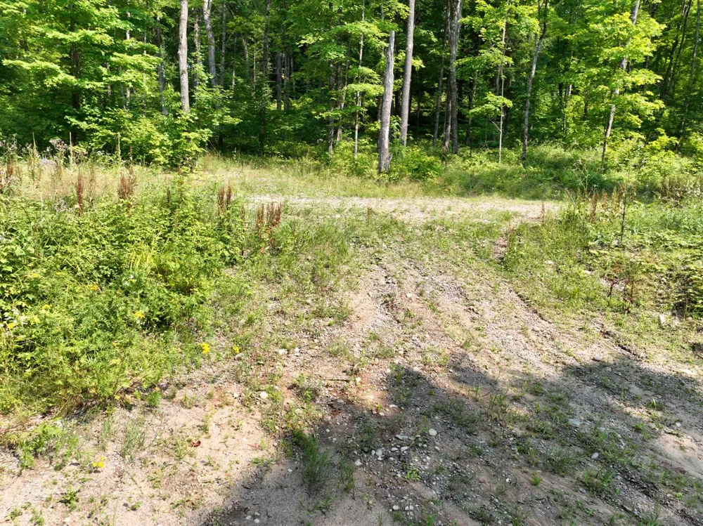 Lot 12 Little Smoky Lk Est Iron River, MI 49935