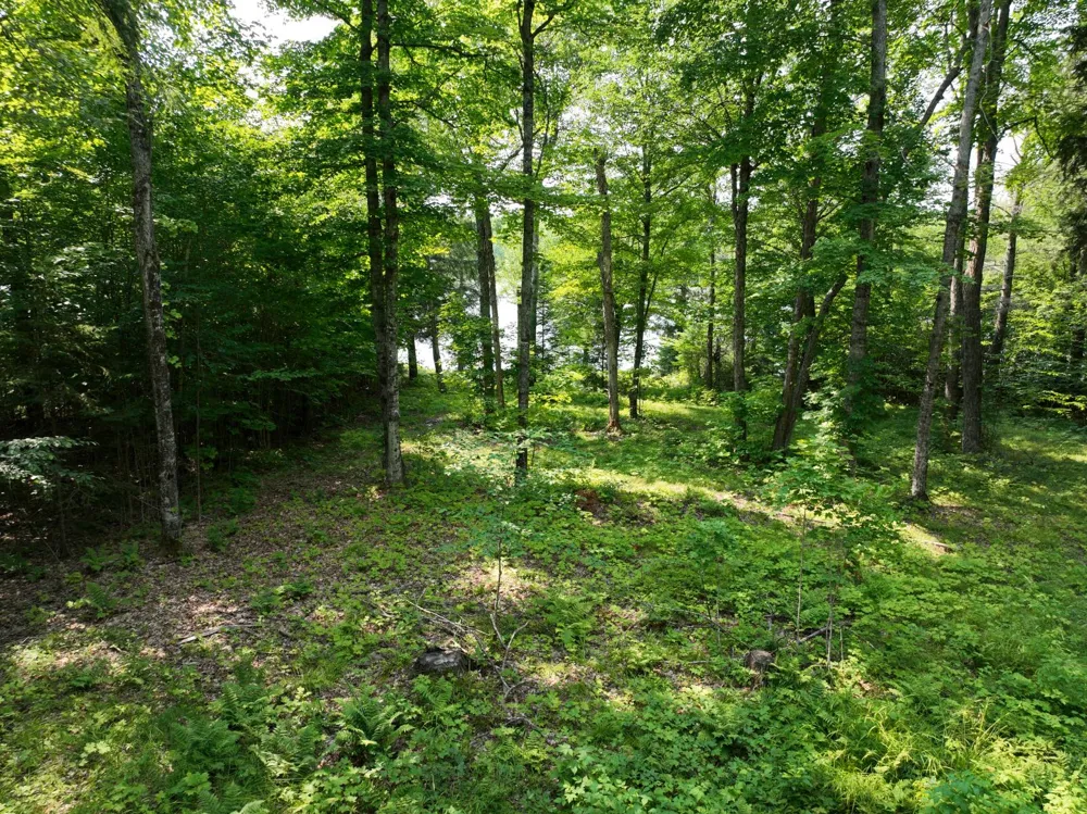 Lot 12 Little Smoky Lk Est Iron River, MI 49935