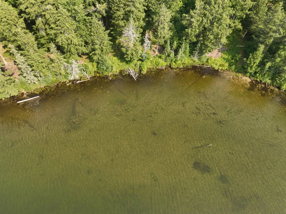 Lot 12 Little Smoky Lk Est Iron River, MI 49935