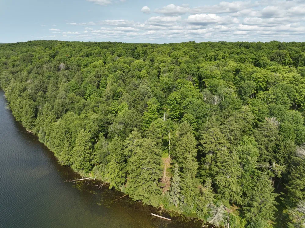 Lot 12 Little Smoky Lk Est Iron River, MI 49935