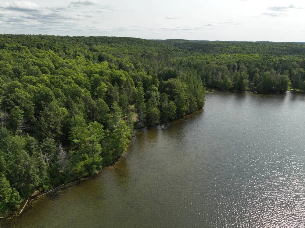 Lot 12 Little Smoky Lk Est Iron River, MI 49935